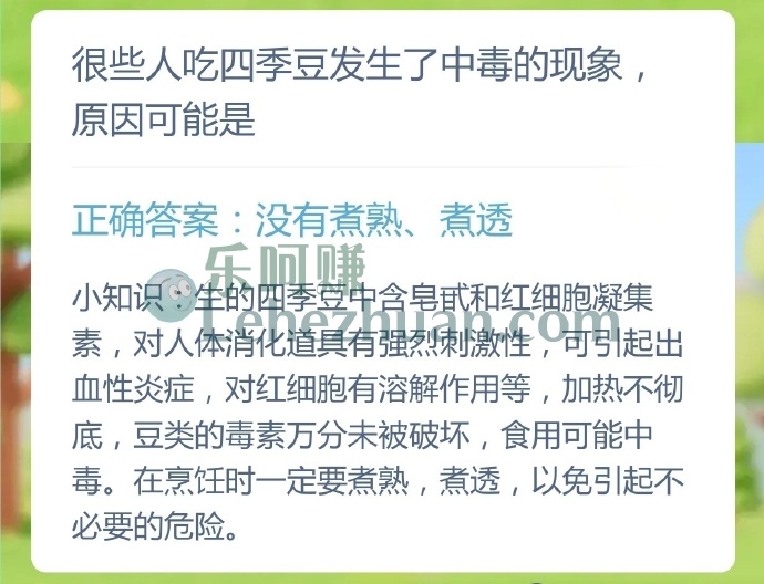 很些人吃四季豆发生了中毒的现象,原因可能是?
