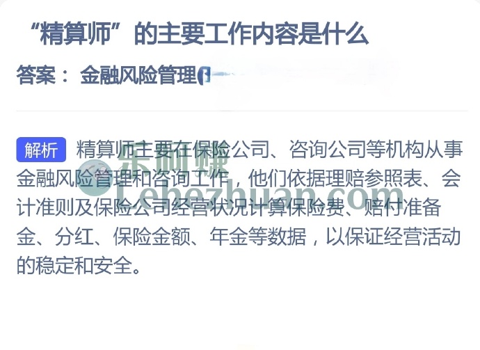 精算师的主要工作内容是什么?