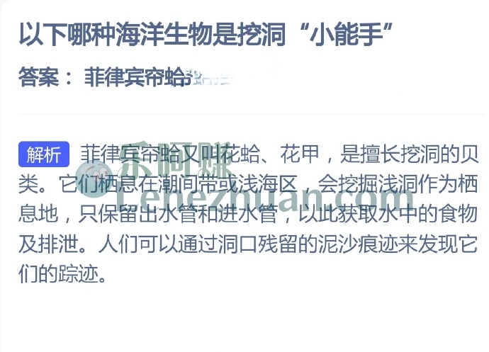 以下哪种海洋生物是挖洞小能手?
