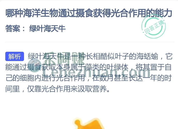 哪种海洋生物通过摄食获得光合作用的能力?