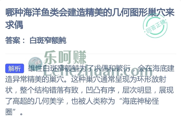 哪种海洋鱼类会建造精美的几何图形巢穴来求偶?