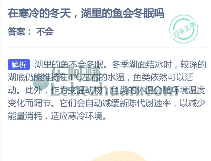 在寒冷的冬天,湖里的鱼会冬眠吗?