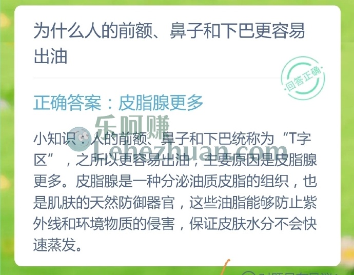 为什么人的前额、鼻子和下巴更容易出油?