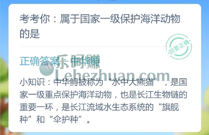 属于国家一级保护海洋动物的是?