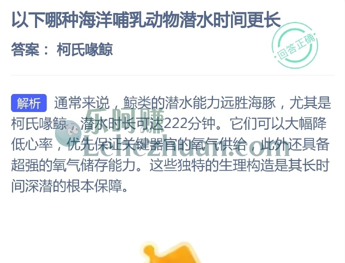 以下哪种海洋哺乳动物潜水时间更长?