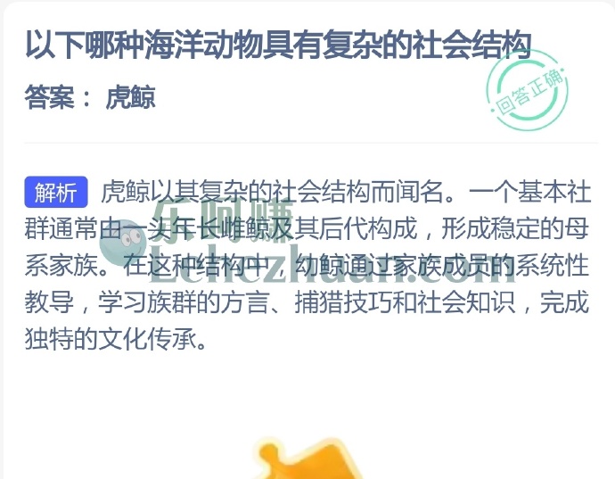 哪种海洋动物具有复杂的社会结构?