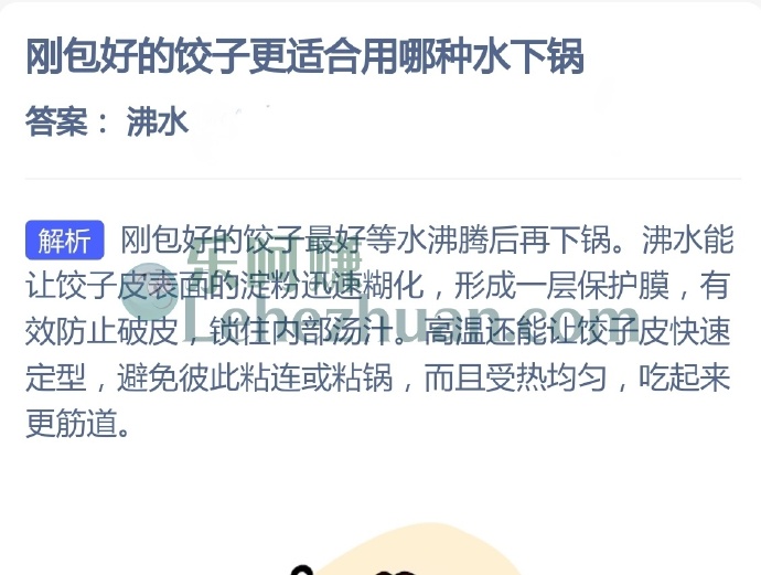 刚包好的饺子更适合用哪种水下锅?