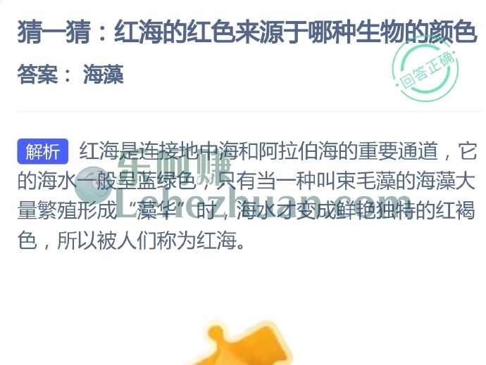 红海的红色来源于哪种生物的颜色?