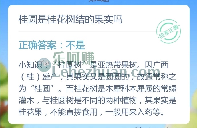 桂圆是桂花树结的果实吗?
