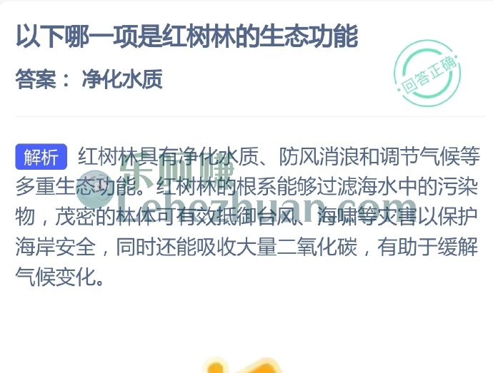 以下哪一项是红树林的生态功能?