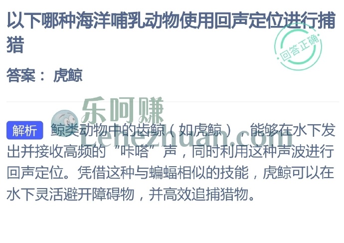以下哪种海洋哺乳动物使用回声定位进行捕猎?