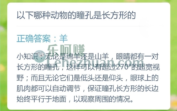 哪种动物的瞳孔是长方形的?