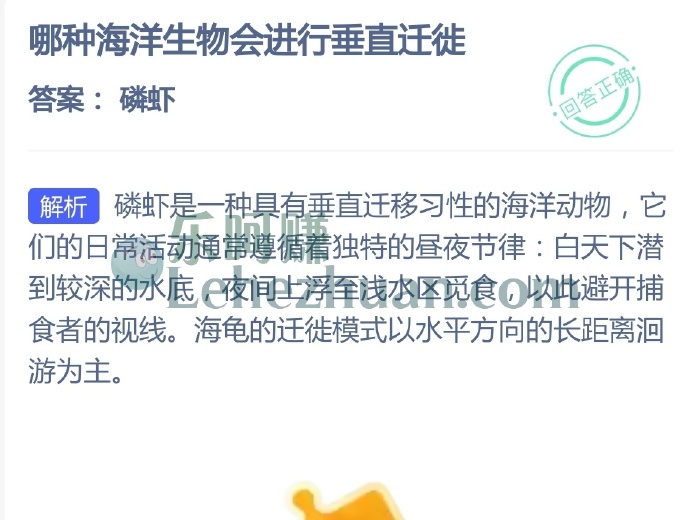 哪种海洋生物会进行垂直迁徙?