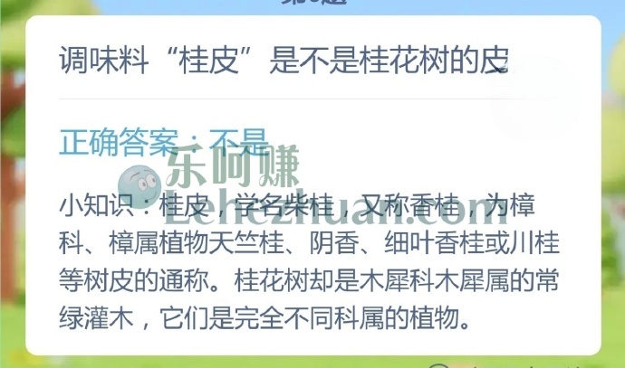 调味料桂皮是不是桂花树的皮?