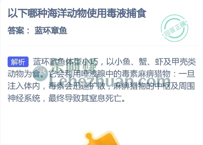 以下哪种海洋动物使用毒液捕食?