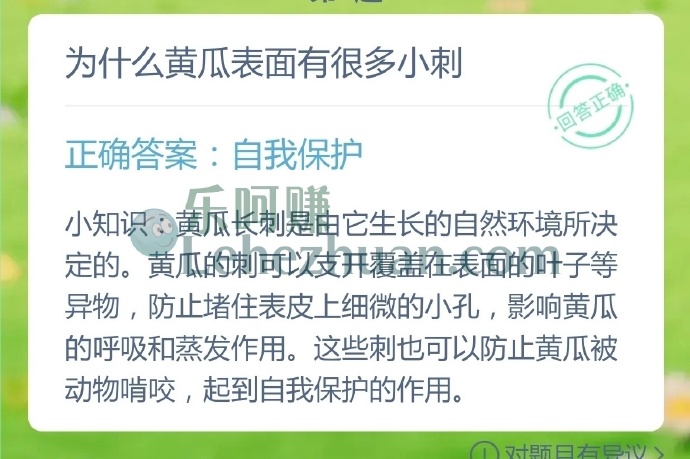 为什么黄瓜表面有很多小刺?