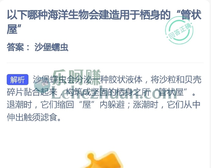 哪种海洋生物会建造用于栖身的管状屋?