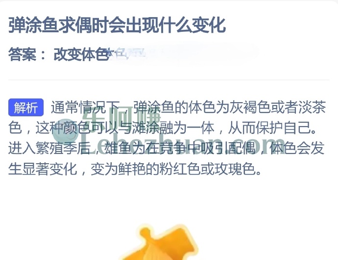 弹涂鱼求偶时会出现什么变化?
