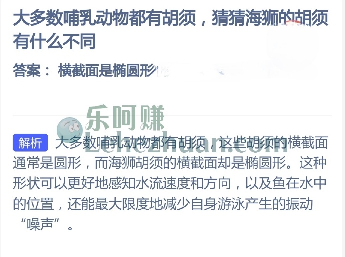 大多数哺乳动物都有胡须,猜猜海狮的胡须有什么不同?