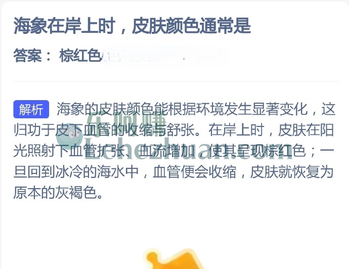 海象在岸上时,皮肤颜色通常是?