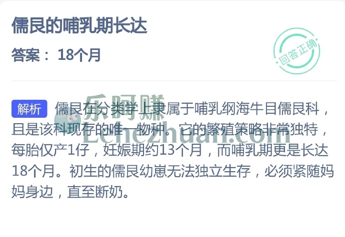 儒艮的哺乳期长达?