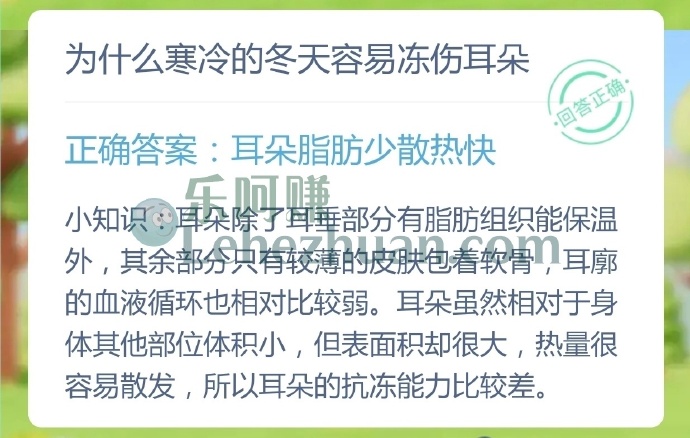 为什么寒冷的冬天容易冻伤耳朵?