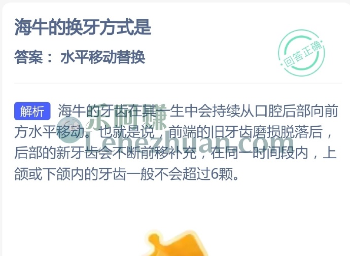 海牛的换牙方式是?