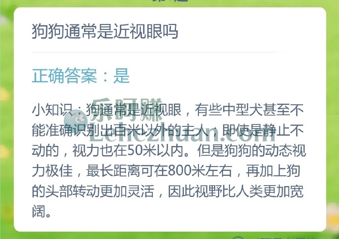 狗狗通常是近视眼吗?