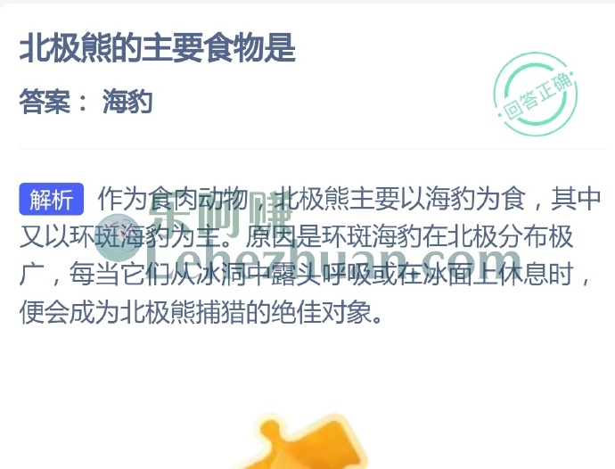 北极熊的主要食物是?
