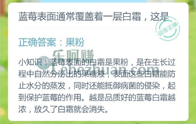 蓝莓表面通常覆盖着一层白霜,这是?