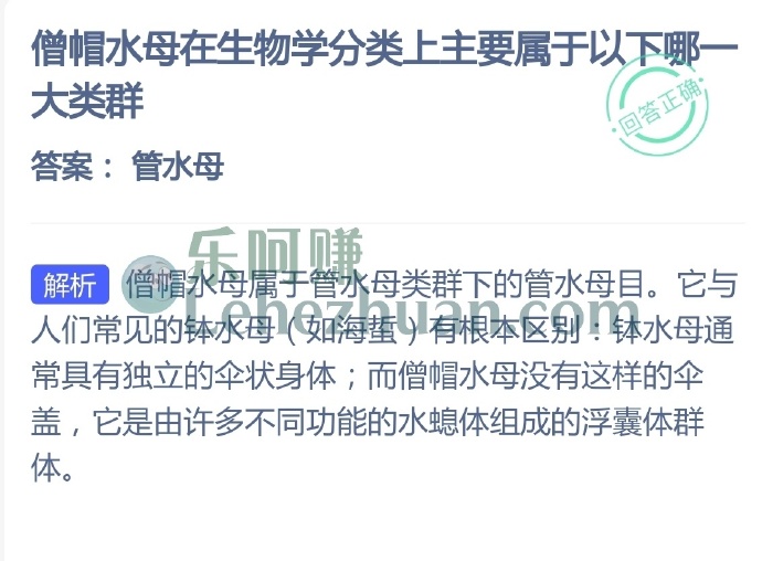僧帽水母在生物学分类上主要属于以下哪一大类群?