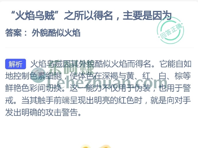 火焰乌贼之所以得名主要是因为?