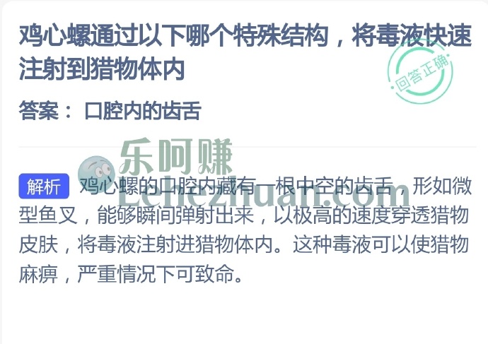 鸡心螺通过哪个特殊结构将毒液快速注射到猎物体内?