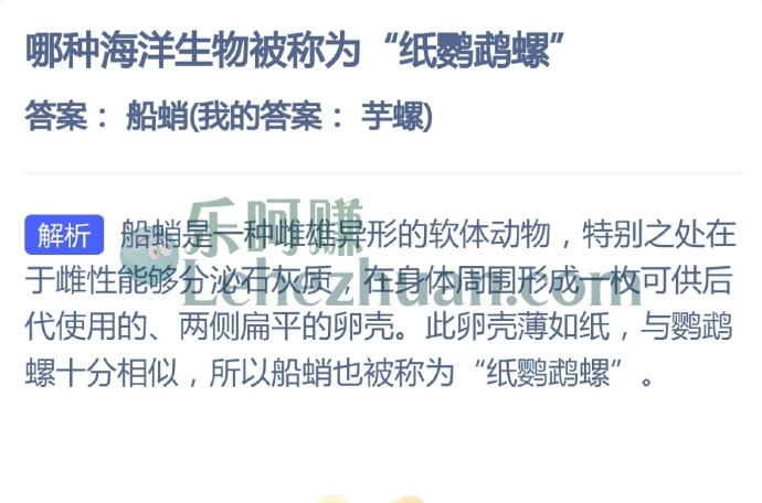 哪种海洋生物被称为纸鹦鹉螺?