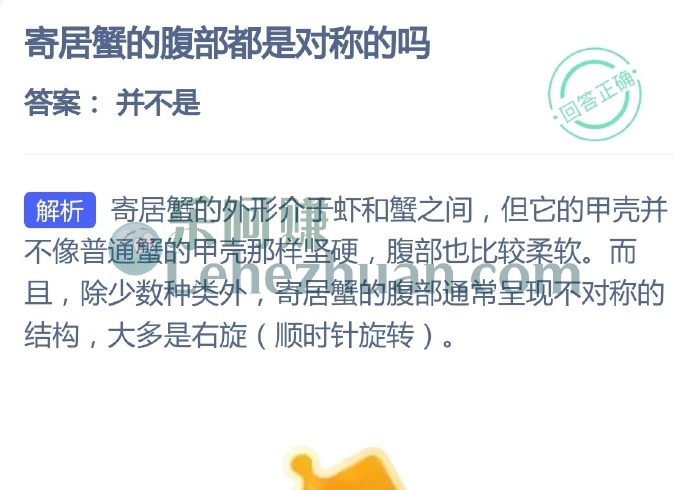 寄居蟹的腹部都是对称的吗?