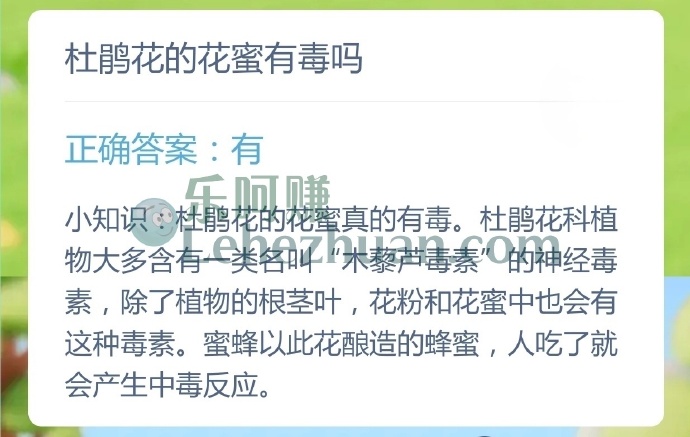 杜鹃花的花蜜有毒吗?