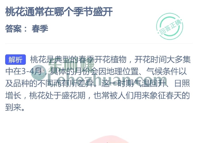 桃花通常在哪个季节盛开?