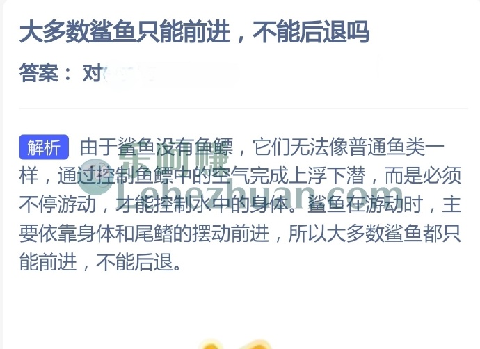 大多数鲨鱼只能前进,不能后退吗?