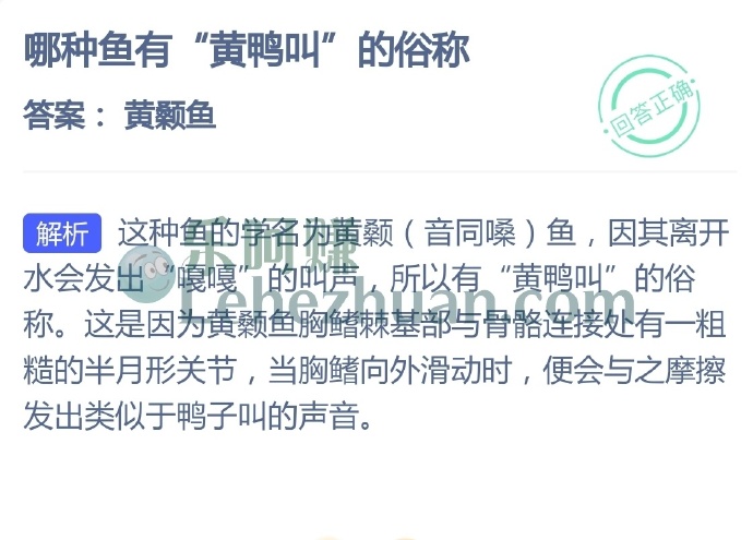 哪种鱼有黄鸭叫的俗称?