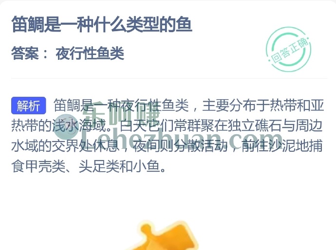 笛鲷是一种什么类型的鱼?