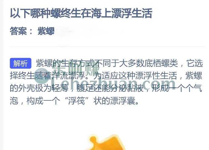 哪种螺终生在海上漂浮生活?