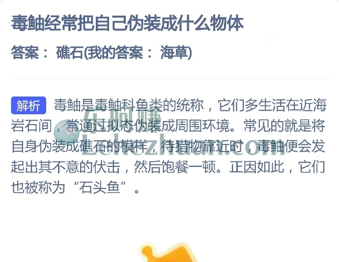 毒鲉经常把自己伪装成什么物体?
