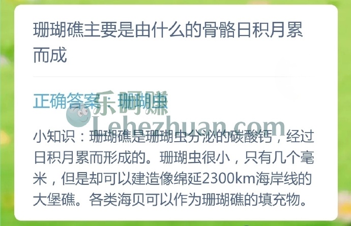 珊瑚礁主要是由什么的骨骼日积月累而成?