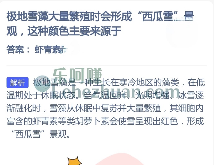 极地雪藻大量繁殖时会形成西瓜雪景观,这种颜色主要来源于?