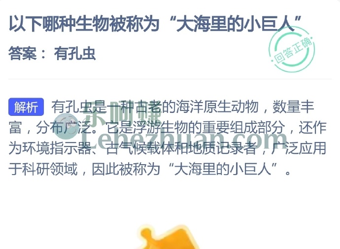 哪种生物被称为大海里的小巨人?
