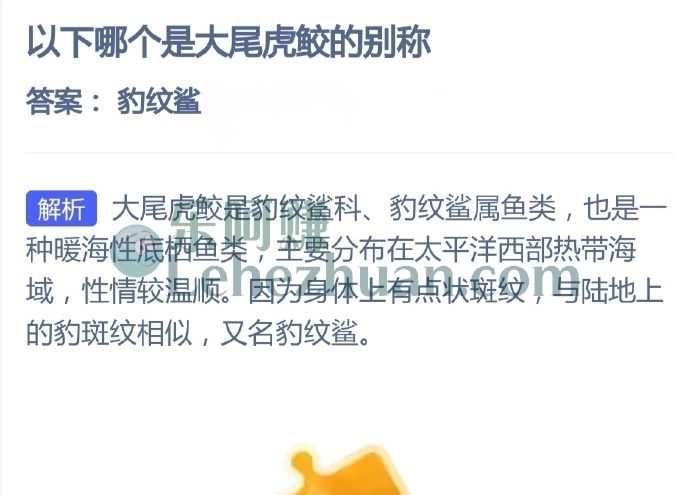 大尾虎鲛的别称是?