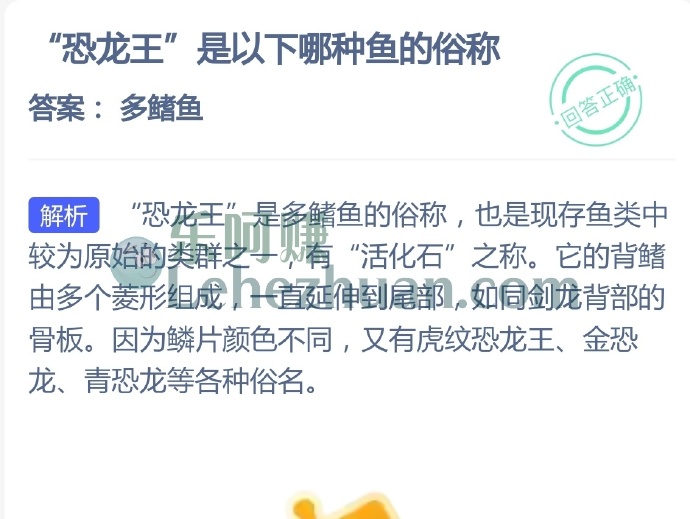 恐龙王是以下哪种鱼的俗称?