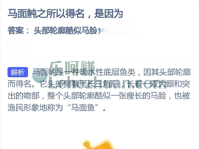 马面鲀之所以得名是因为?