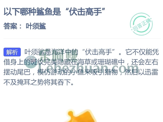 哪种鲨鱼是伏击高手?