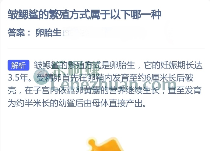 皱鳃鲨的繁殖方式属于以下哪一种?